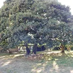 Ostello - De Logrosa Negreira
