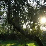 - De Logrosa Negreira