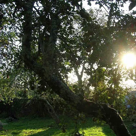 De Logrosa Negreira
