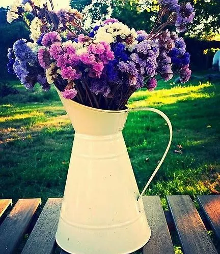 - De Logrosa Negreira